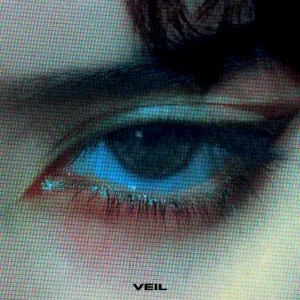 Veil