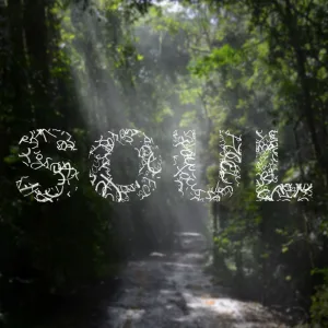 Soul Focus