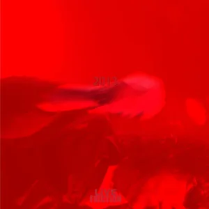 Pick Up (Live)