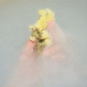 lump sugar