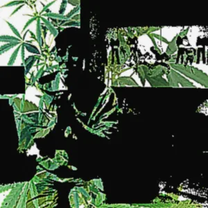 Critical Mass