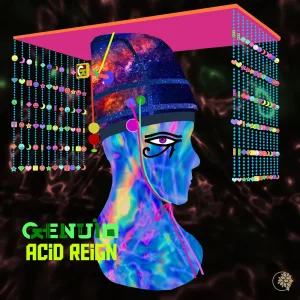 Acid Reign