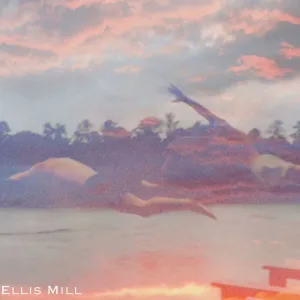 Ellis Mill