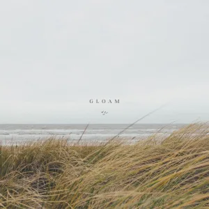 A New Beginning