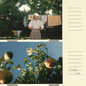Orange Tree