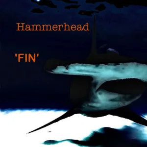 Fin (Single)