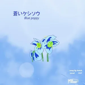 Blue poppy