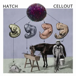 Nucleolini