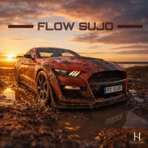 Flow Sujo