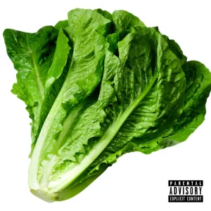 Lettuce
