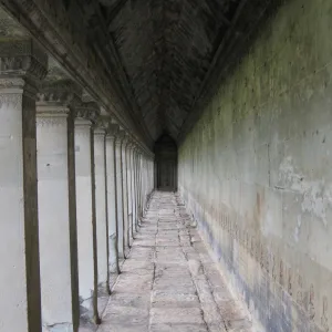 The Path