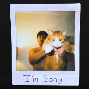 I'm Sorry