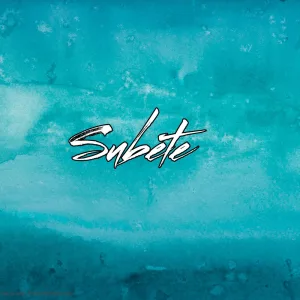 Subete