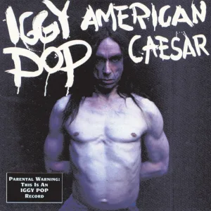 Perforation Problems