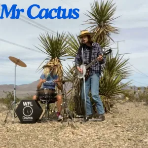 Mr Cactus 2