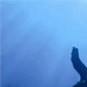 Falling Down