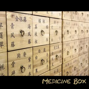Bone Needle