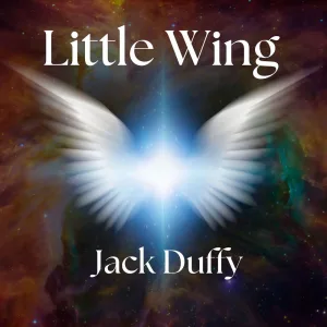 Little Wing