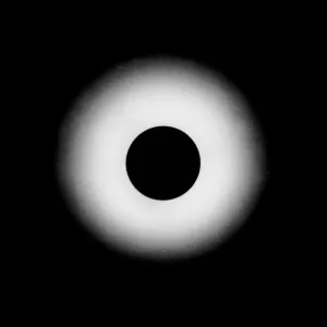 Signal
