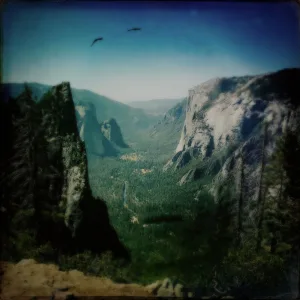 Safety Net (Slowed Version)