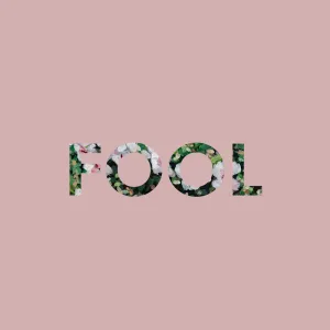 Fool