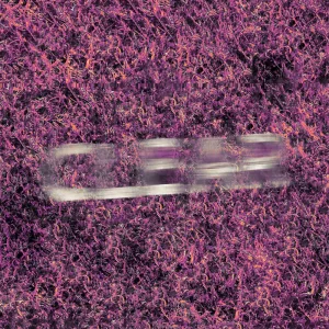 clear