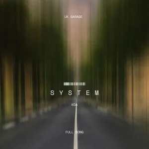 system