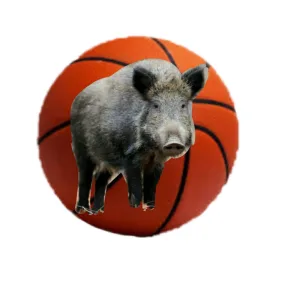 BALL HOG