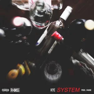 System