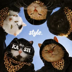 Style