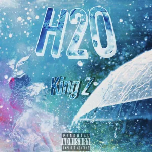 H2O