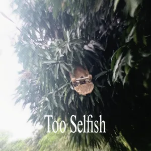 Too Selfish