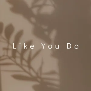 Like You Do