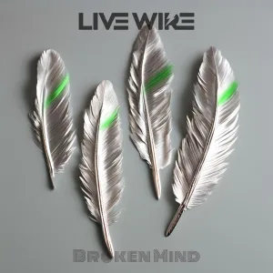 Broken Mind