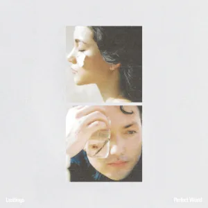 Learning To Love