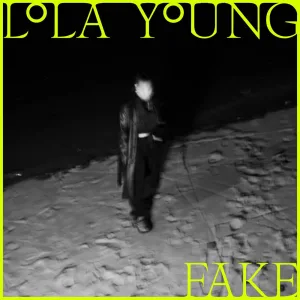 FAKE