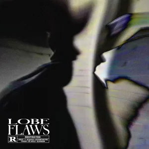 FLAWS