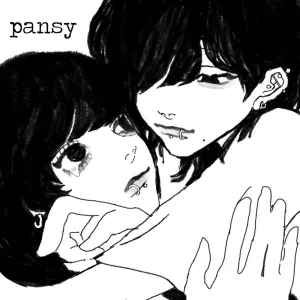 pansy