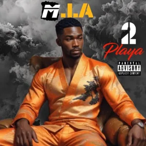 2 Playa
