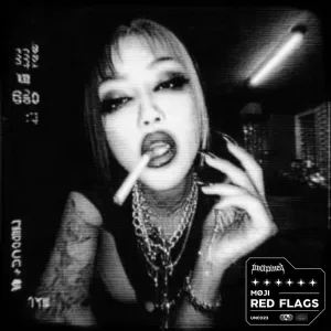 Red Flags (Extended)