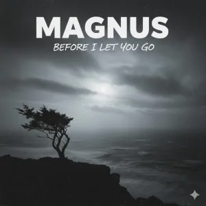 Before I Let You Go