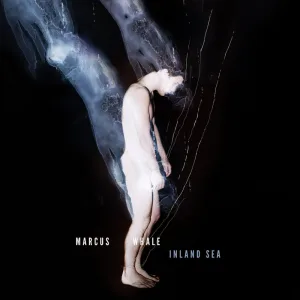 Vulnerable