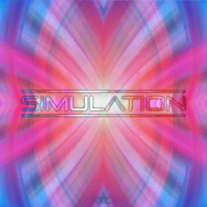 Simluation
