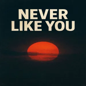 Never Like You
