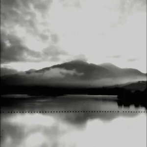 Exsanguination