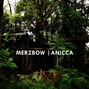 Anicca Part.1