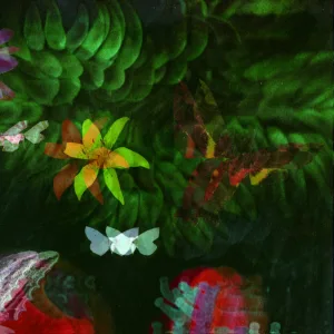 Brain Forest