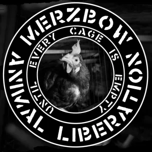 No Cages (Part 2)