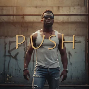 Push (Tech Mix)