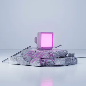 1 DAY 2 LATE